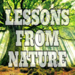 Lessons From Nature