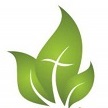 Leaf Growing Logo